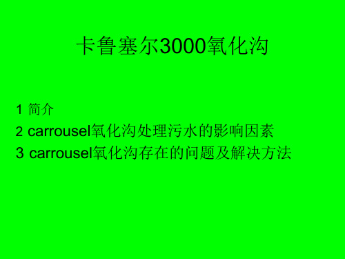 卡鲁塞尔3000氧化沟 2