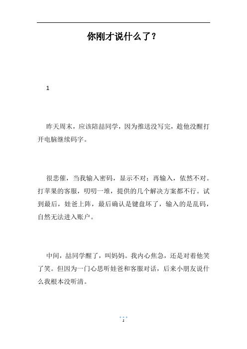 你刚才说什么了?