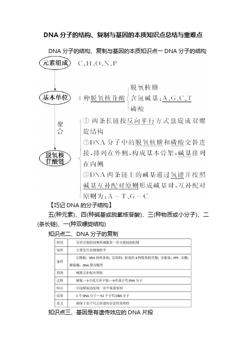 DNA分子的结构、复制与基因的本质知识点总结与重难点