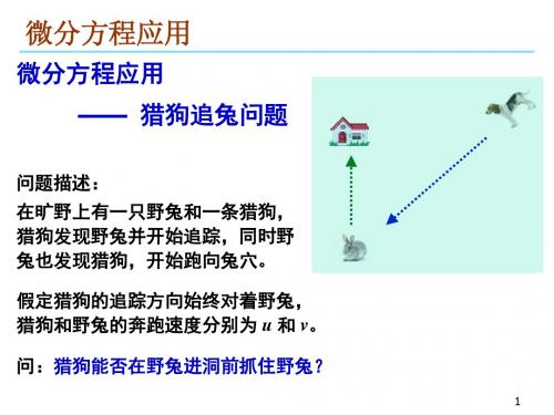 微分方程应用猎狗在