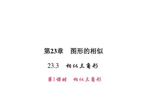 华师大版九年级数学上册同步教学课件 23.3 相似三角形(1)