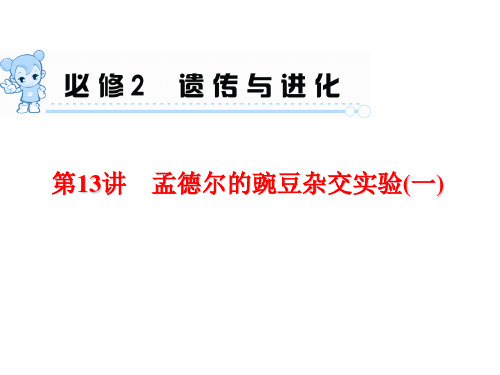 2015届《学海导航》高三生物一轮总复习配套课件：第13讲 孟德尔的豌豆杂交实验(一)