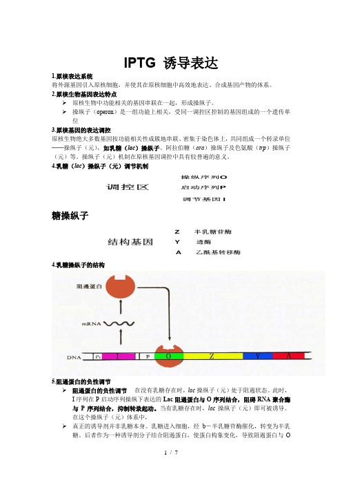 IPTG-诱导表达