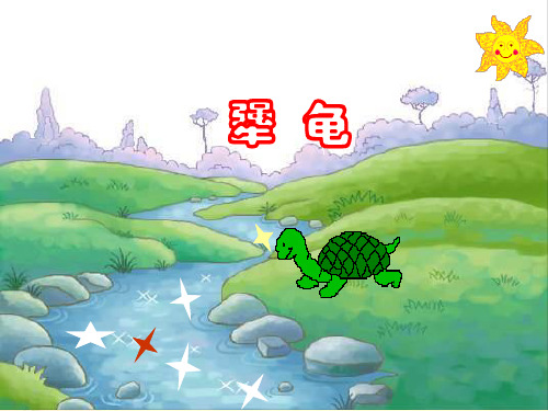 鄂教版六年级语文下册《犟龟1》PPT课件