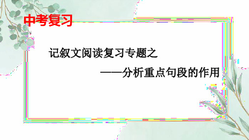 2023年中考语文专题复习-记叙文段落的作用课件(共23页)