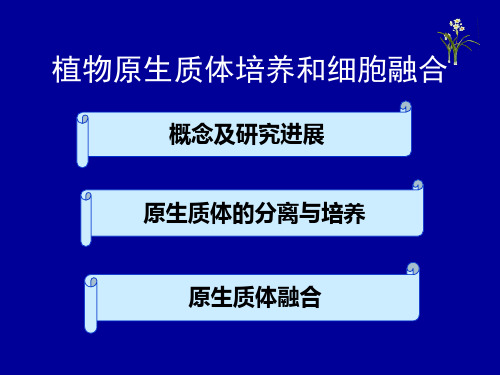 植物原生质体培养和体细胞杂交