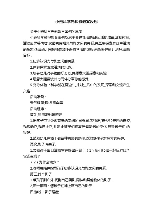 小班科学光和影教案反思