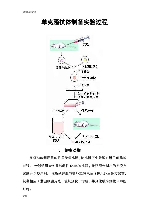 单克隆抗体制备实验过程