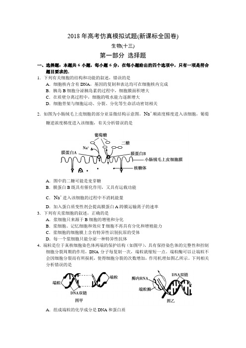 2018年高考仿真模拟生物试题新课标全国卷(十三)答案