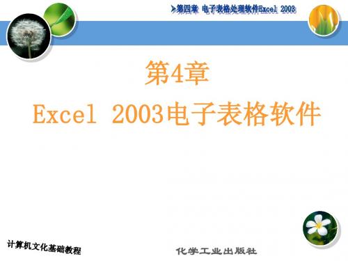 第4章 电子表格处理软件Excel 2003