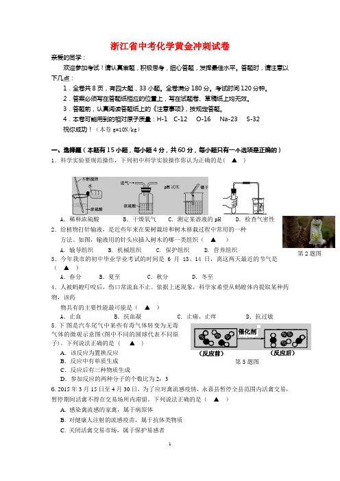 2020年浙江省中考化学黄金冲刺试卷(含答案) (5)