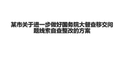 某市关于进一步做好国务院大督查移交问题线索自查整改的方案