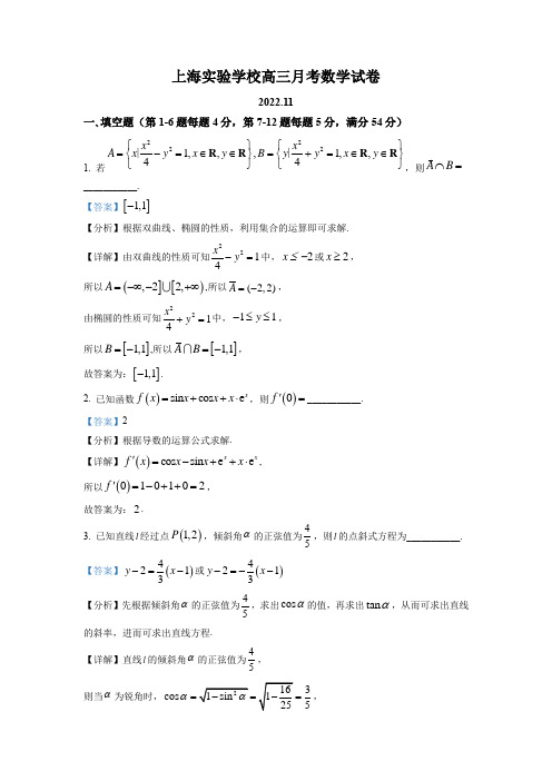 上海市实验学校2023届高三上学期11月月考数学试卷(解析版)