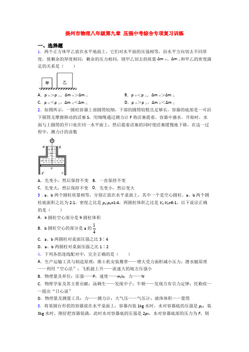 扬州市物理八年级第九章 压强中考综合专项复习训练