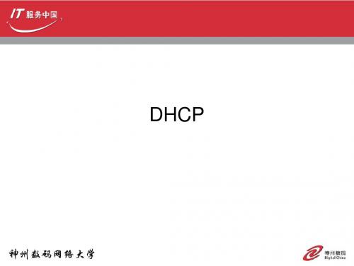 神州数码DHCP的配置与分析.dhcp