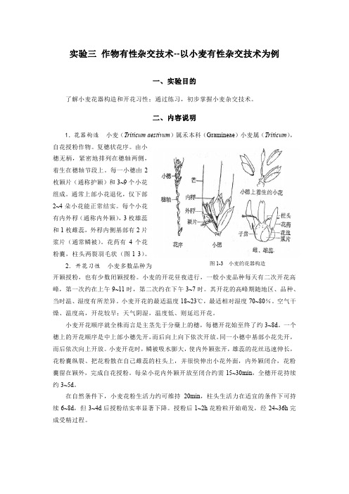 实验三 作物有性杂交技术