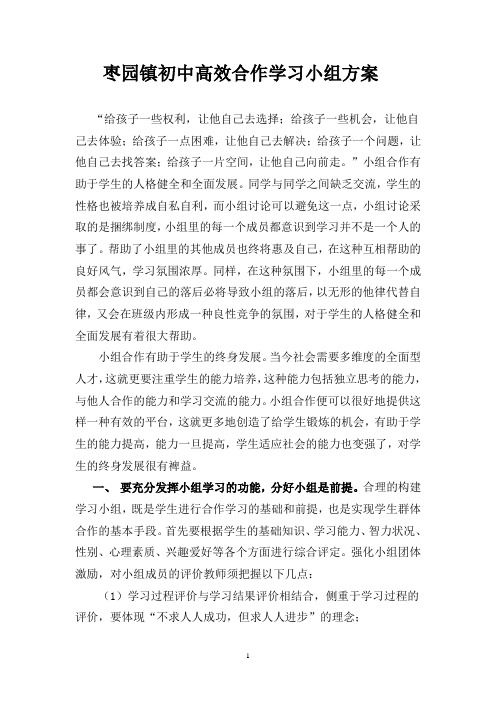 枣园镇初中小组合作学习方案