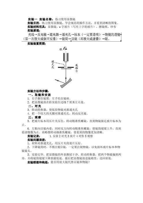 生物实验报告