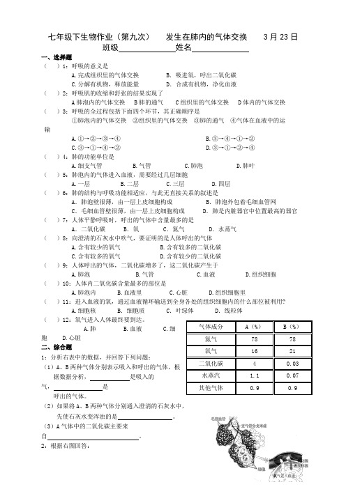 作业10：发生在肺内的气体交换