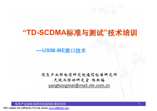 TD-SCDMA标准与测试-USIM-ME原理