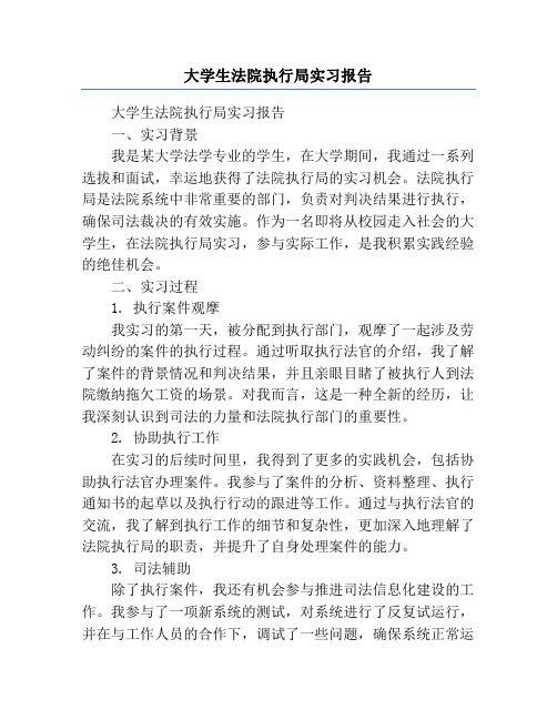 大学生法院执行局实习报告