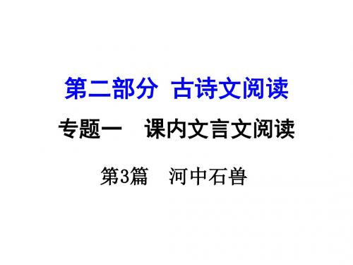 中考语文 第二部分 古诗文阅读 专题1 第3篇 河中石兽复习课件