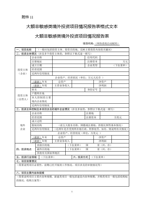 大额非敏感类境外投资项目情况报告表格