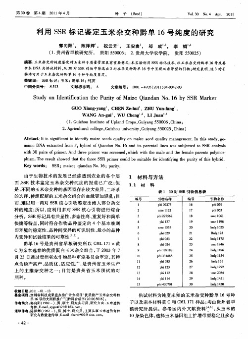 利用SSR标记鉴定玉米杂交种黔单16号纯度的研究