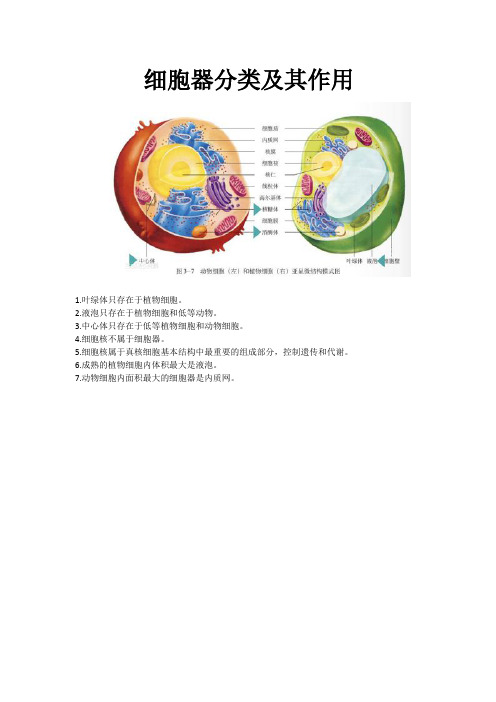 细胞器分类及其作用