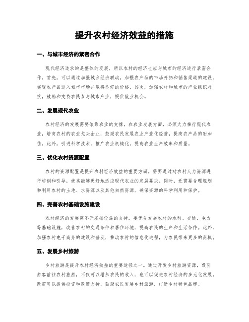 提升农村经济效益的措施