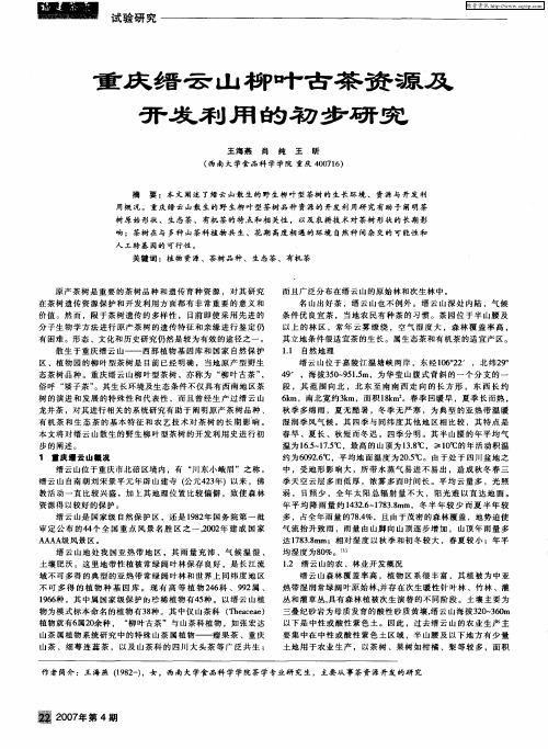 重庆缙云山柳叶古茶资源及开发利用的初步研究