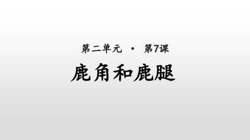 新版三年级下册-鹿角和鹿腿 人教(部编版) (共20张PPT)