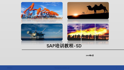 SAP SD培训--石油行业