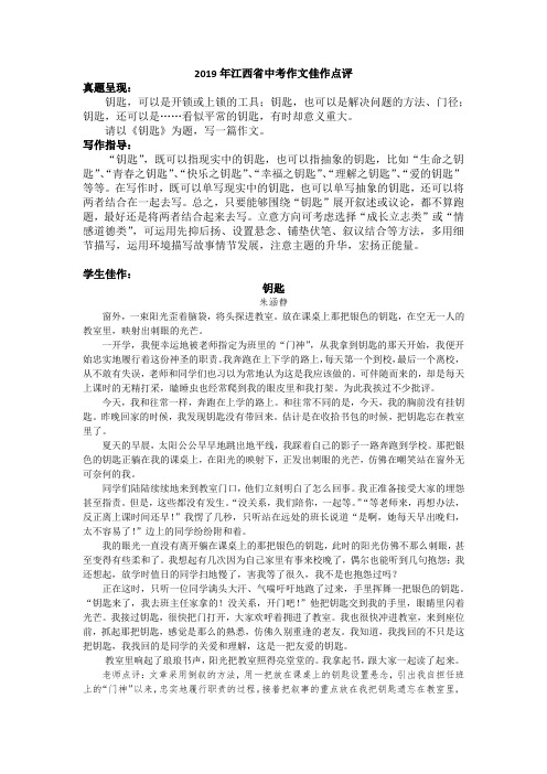 2019年江西省中考作文佳作点评