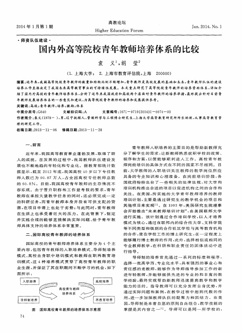 国内外高等院校青年教师培养体系的比较