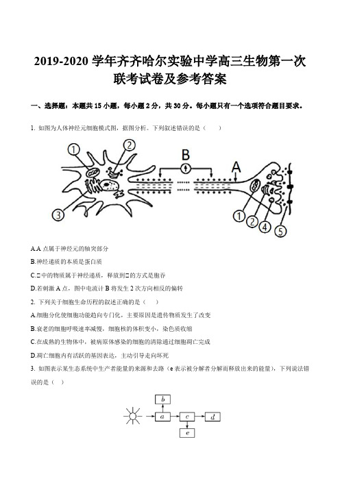 2019-2020学年齐齐哈尔实验中学高三生物第一次联考试卷及参考答案