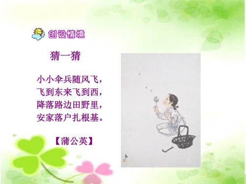 苏教版三年级语文：蒲公英(一)ppt课件(公开课优质课教学课件)