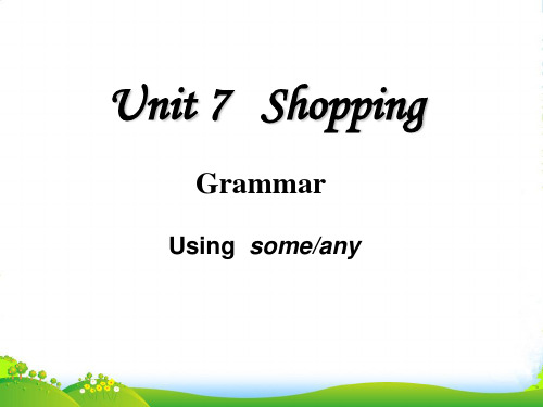 译林牛津版七年级英语上 Unit7 Going shopping grammar there be 