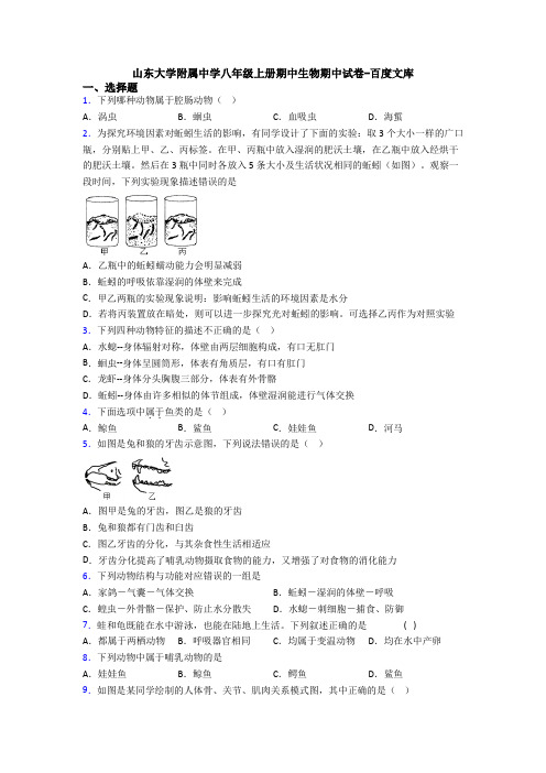 山东大学附属中学八年级上册期中生物期中试卷-百度文库