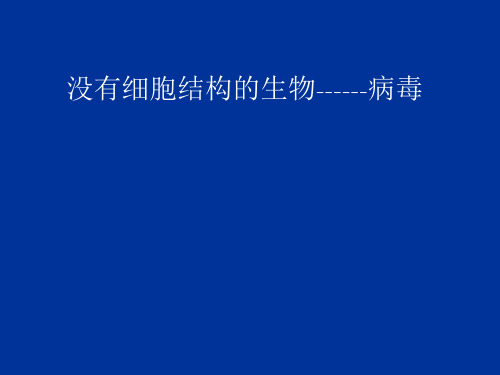 人教版初中生物八上 5.5  病毒 课件 (共26张PPT)