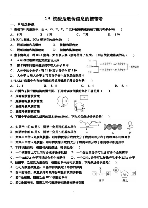 高中生物题目 核酸是遗传信息的携带者