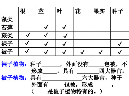 初一被子植物的一生复习