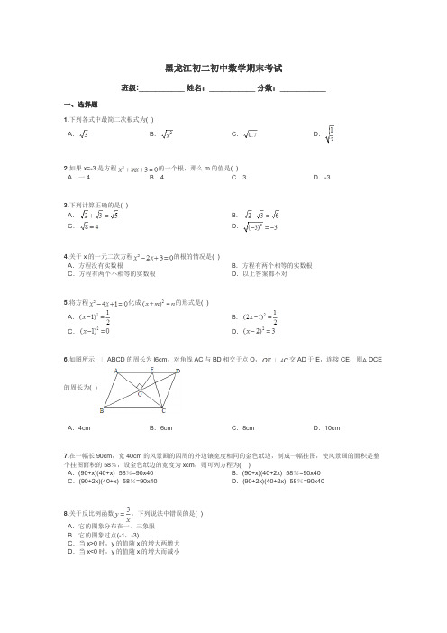 黑龙江初二初中数学期末考试带答案解析
