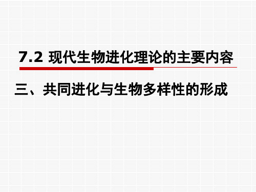 人教版高中生物必修二教学课件：7.2 现代生物进化理论的主要内容 (共24张PPT)