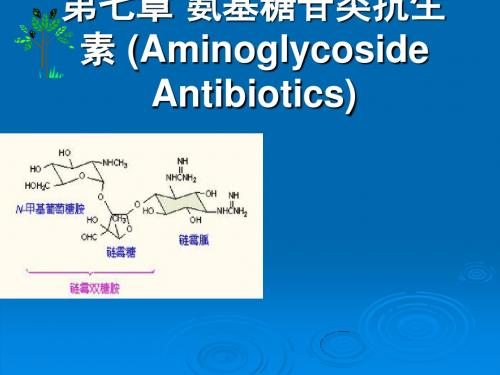 氨基糖苷类抗生素
