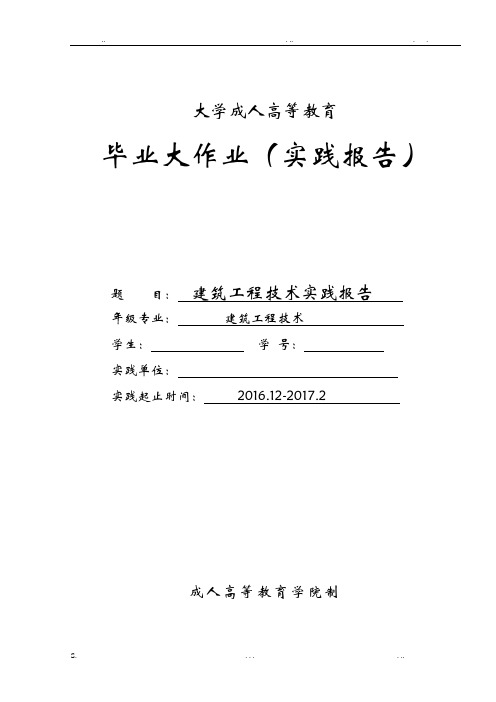 成人高等教育实践报告