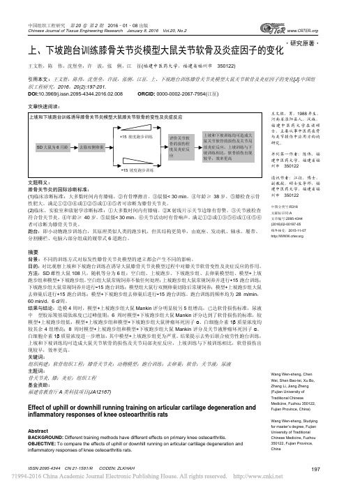 上_下坡跑台训练膝骨关节炎模型大鼠关节软骨及炎症因子的变化_王文胜