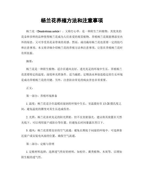 杨兰花养殖方法和注意事项