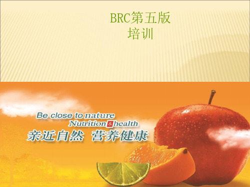 BRC第五版培训ppt课件