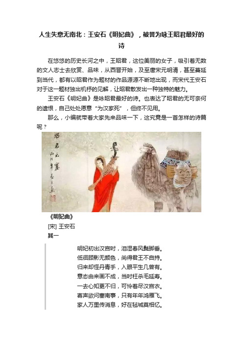 人生失意无南北：王安石《明妃曲》，被誉为咏王昭君最好的诗